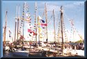 variety of small schooners docked
